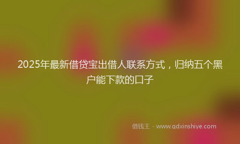 2025年最新借贷宝出借人联系方式，归纳五个黑户能下款的口子