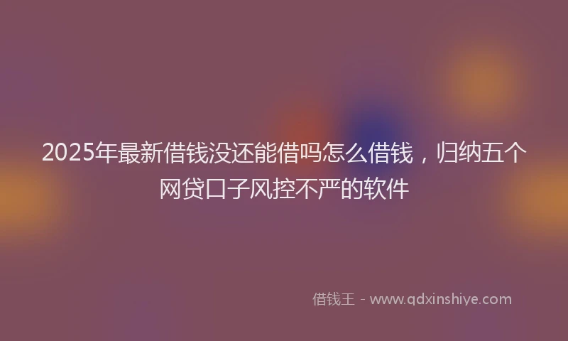 2025年最新借钱没还能借吗怎么借钱，归纳五个网贷口子风控不严的软件