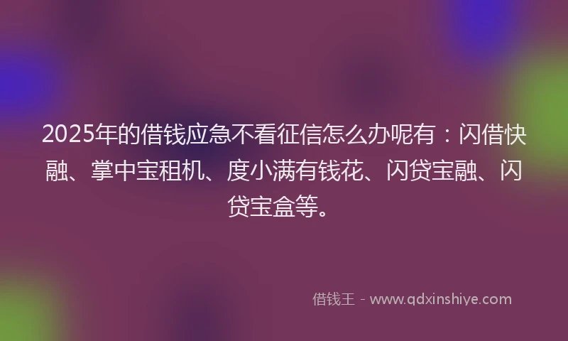 2025年的借钱应急不看征信怎么办呢有：闪借快融、掌中宝租机、度小满有钱花、闪贷宝融、闪贷宝盒等。