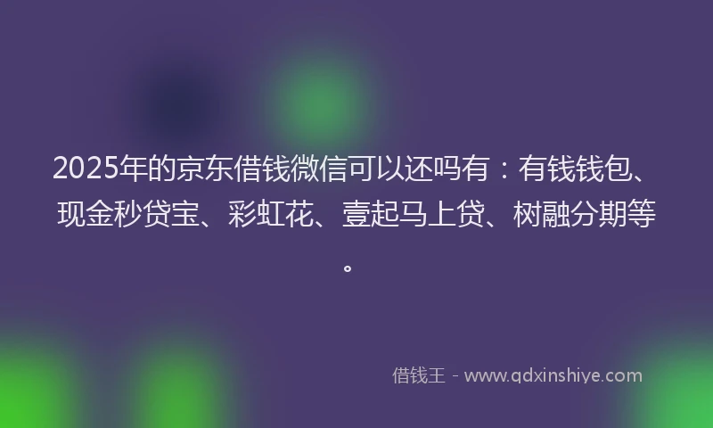 2025年的京东借钱微信可以还吗有：有钱钱包、现金秒贷宝、彩虹花、壹起马上贷、树融分期等。