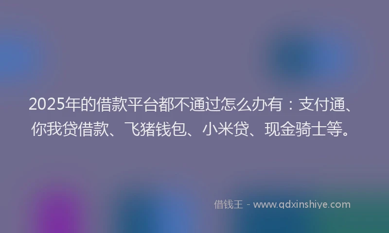 2025年的借款平台都不通过怎么办有：支付通、你我贷借款、飞猪钱包、小米贷、现金骑士等。