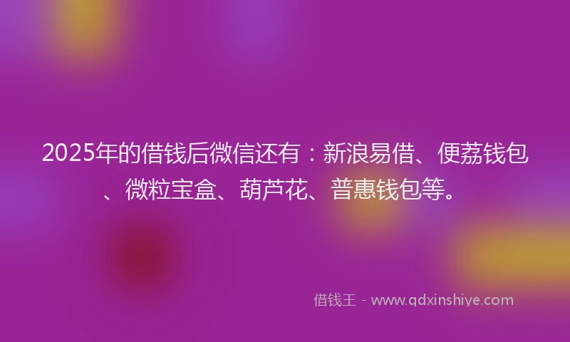 2025年的借钱后微信还有：新浪易借、便荔钱包、微粒宝盒、葫芦花、普惠钱包等。
