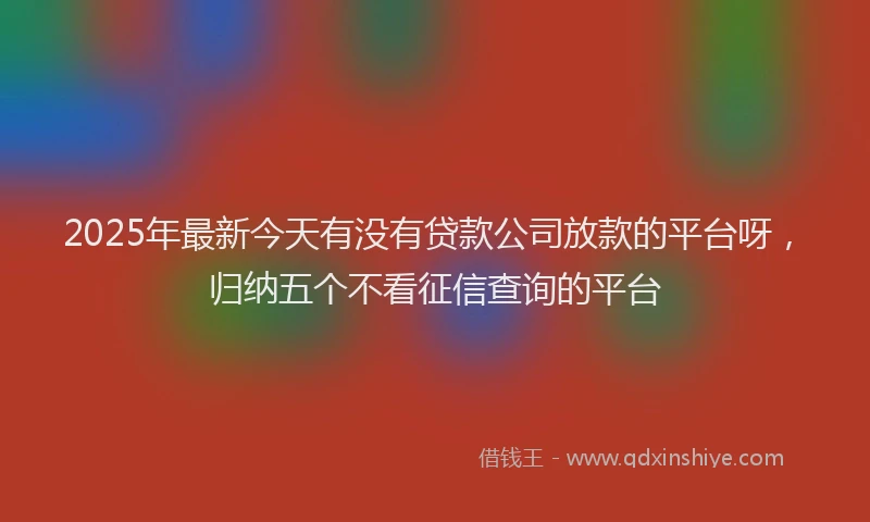 2025年最新今天有没有贷款公司放款的平台呀，归纳五个不看征信查询的平台