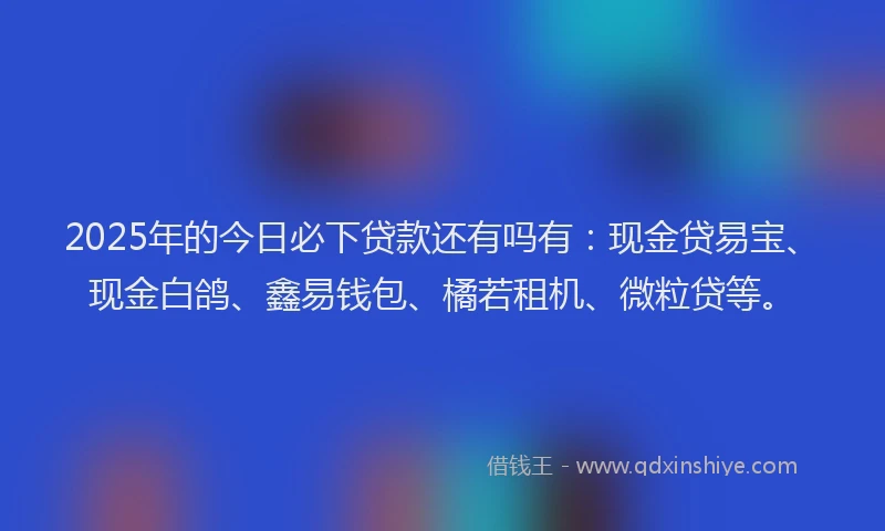 2025年的今日必下贷款还有吗有：现金贷易宝、现金白鸽、鑫易钱包、橘若租机、微粒贷等。