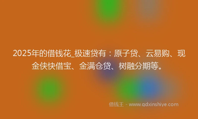 2025年的借钱花_极速贷有：原子贷、云易购、现金侠快借宝、金满仓贷、树融分期等。