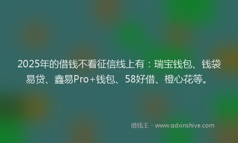 2025年的借钱不看征信线上有：瑞宝钱包、钱袋易贷、鑫易Pro+钱包、58好借、橙心花等。