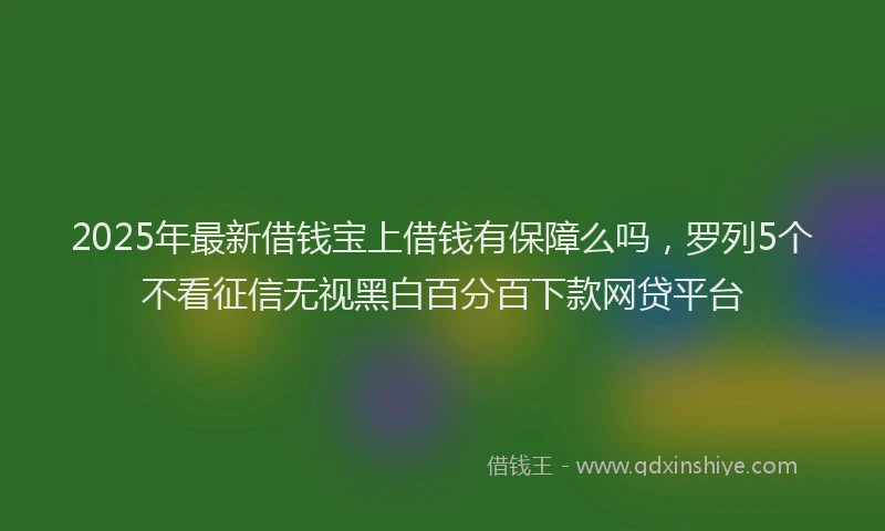 2025年最新借钱宝上借钱有保障么吗，罗列5个不看征信无视黑白百分百下款网贷平台
