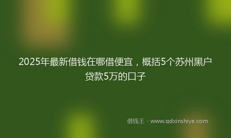 2025年最新借钱在哪借便宜，概括5个苏州黑户贷款5万的口子