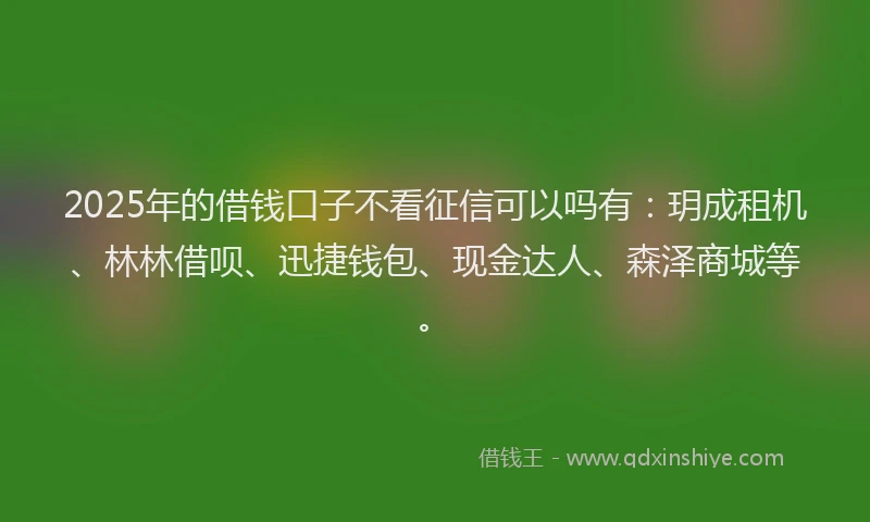 2025年的借钱口子不看征信可以吗有：玥成租机、林林借呗、迅捷钱包、现金达人、森泽商城等。
