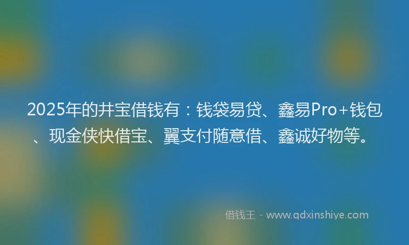 2025年的井宝借钱有：钱袋易贷、鑫易Pro+钱包、现金侠快借宝、翼支付随意借、鑫诚好物等。