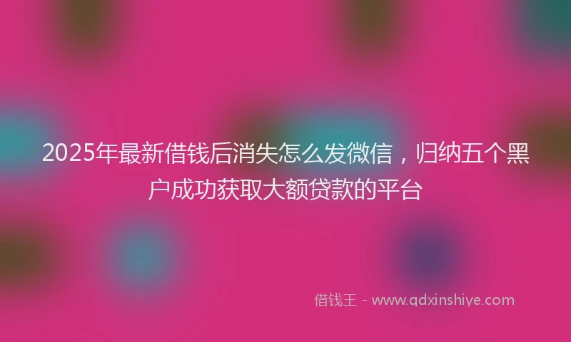2025年最新借钱后消失怎么发微信，归纳五个黑户成功获取大额贷款的平台