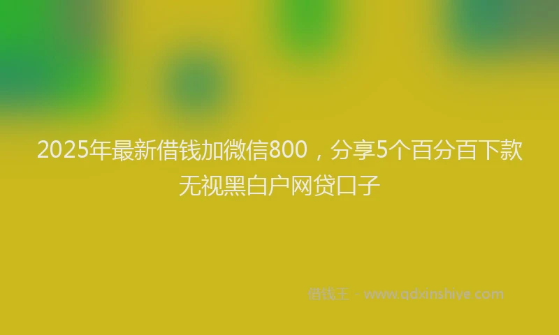 2025年最新借钱加微信800，分享5个百分百下款无视黑白户网贷口子