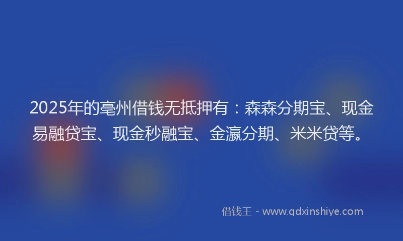 2025年的亳州借钱无抵押有：森森分期宝、现金易融贷宝、现金秒融宝、金瀛分期、米米贷等。