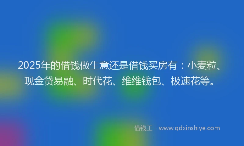 2025年的借钱做生意还是借钱买房有：小麦粒、现金贷易融、时代花、维维钱包、极速花等。