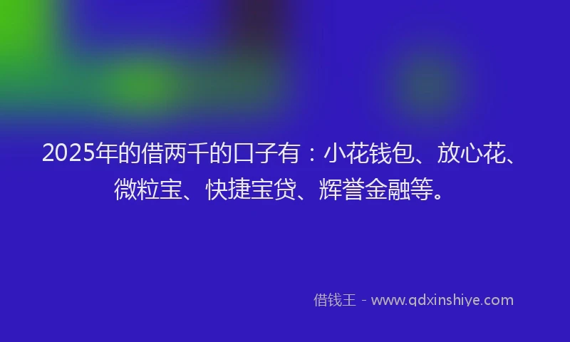 2025年的借两千的口子有：小花钱包、放心花、微粒宝、快捷宝贷、辉誉金融等。