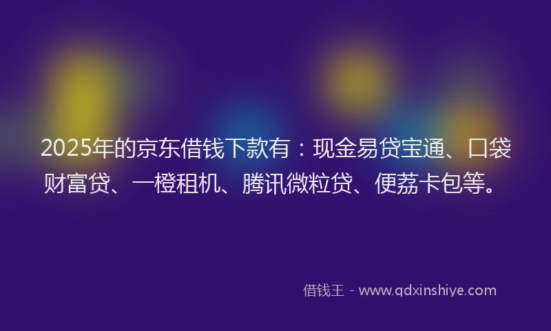 2025年的京东借钱下款有：现金易贷宝通、口袋财富贷、一橙租机、腾讯微粒贷、便荔卡包等。