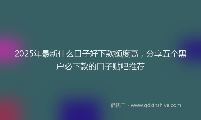 2025年最新什么口子好下款额度高，分享五个黑户必下款的口子贴吧推荐