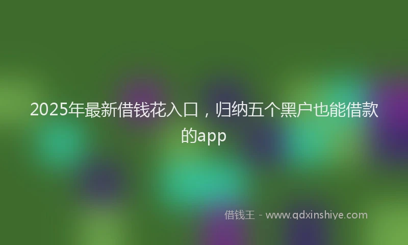 2025年最新借钱花入口，归纳五个黑户也能借款的app