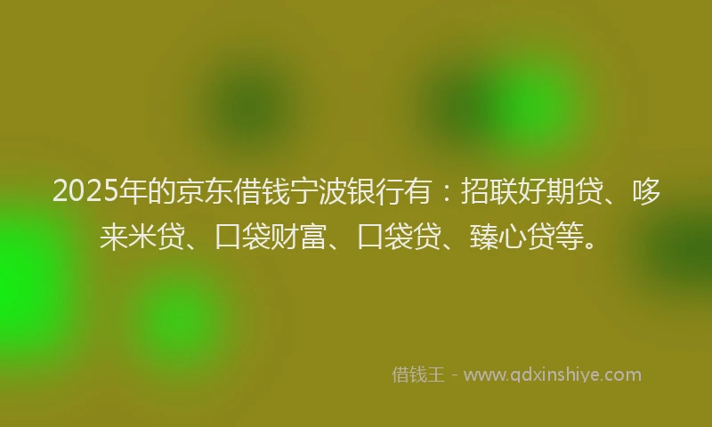 2025年的京东借钱宁波银行有：招联好期贷、哆来米贷、口袋财富、口袋贷、臻心贷等。