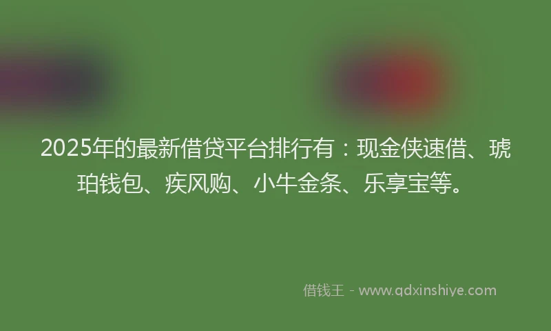 2025年的最新借贷平台排行有：现金侠速借、琥珀钱包、疾风购、小牛金条、乐享宝等。
