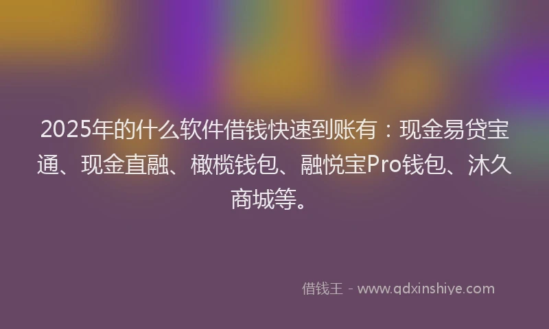 2025年的什么软件借钱快速到账有：现金易贷宝通、现金直融、橄榄钱包、融悦宝Pro钱包、沐久商城等。