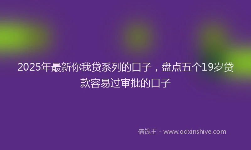 2025年最新你我贷系列的口子，盘点五个19岁贷款容易过审批的口子