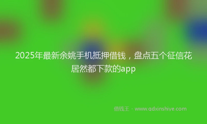 2025年最新余姚手机抵押借钱，盘点五个征信花居然都下款的app