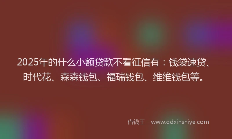 2025年的什么小额贷款不看征信有：钱袋速贷、时代花、森森钱包、福瑞钱包、维维钱包等。