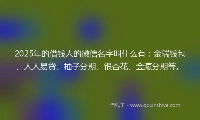2025年的借钱人的微信名字叫什么有：金瑞钱包、人人易贷、柚子分期、银杏花、金瀛分期等。