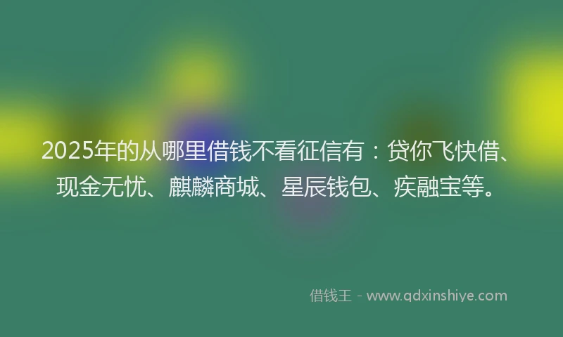 2025年的从哪里借钱不看征信有：贷你飞快借、现金无忧、麒麟商城、星辰钱包、疾融宝等。
