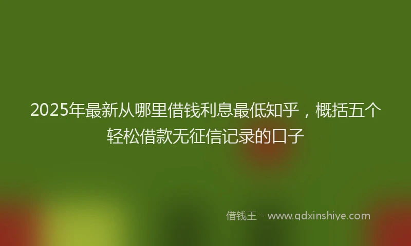 2025年最新从哪里借钱利息最低知乎，概括五个轻松借款无征信记录的口子