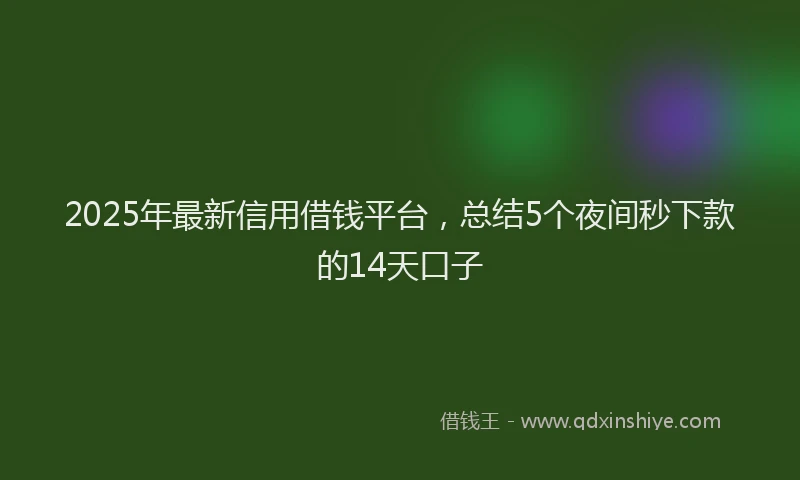 2025年最新信用借钱平台，总结5个夜间秒下款的14天口子
