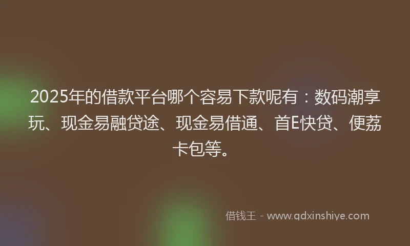 2025年的借款平台哪个容易下款呢有：数码潮享玩、现金易融贷途、现金易借通、首E快贷、便荔卡包等。