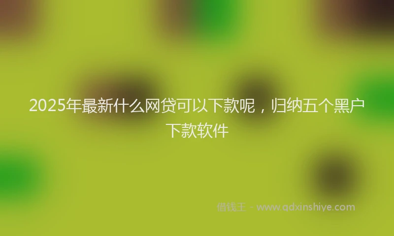 2025年最新什么网贷可以下款呢，归纳五个黑户下款软件
