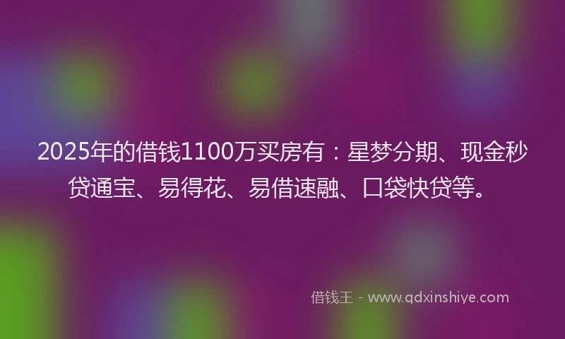 2025年的借钱1100万买房有：星梦分期、现金秒贷通宝、易得花、易借速融、口袋快贷等。