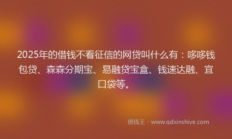2025年的借钱不看征信的网贷叫什么有：哆哆钱包贷、森森分期宝、易融贷宝盒、钱速达融、宜口袋等。