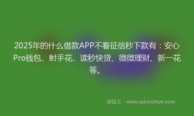 2025年的什么借款APP不看征信秒下款有：安心Pro钱包、射手花、读秒快贷、微微理财、新一花等。