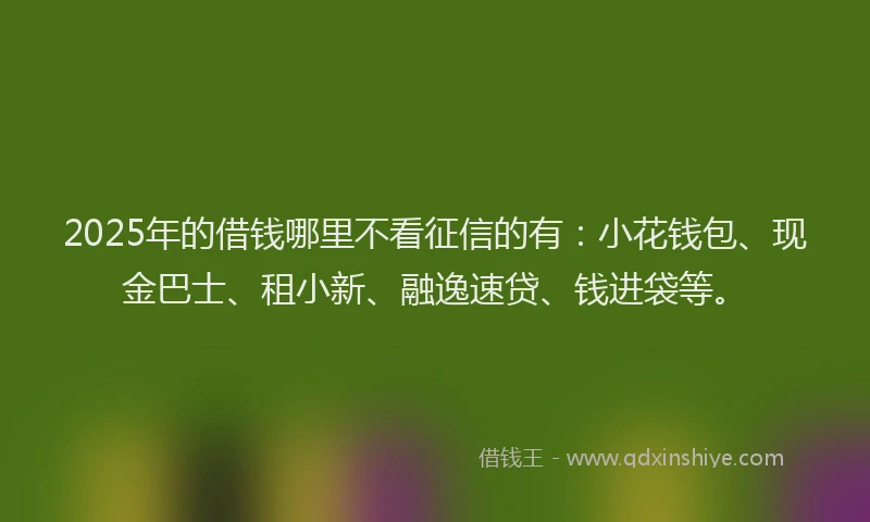 2025年的借钱哪里不看征信的有：小花钱包、现金巴士、租小新、融逸速贷、钱进袋等。