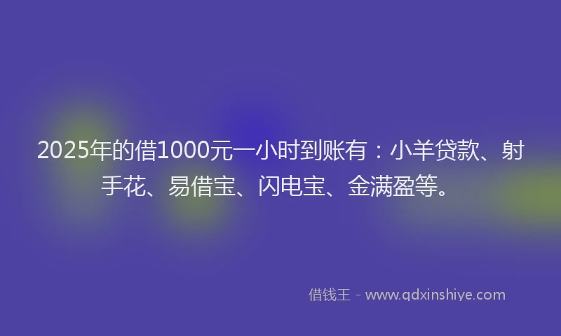 2025年的借1000元一小时到账有：小羊贷款、射手花、易借宝、闪电宝、金满盈等。