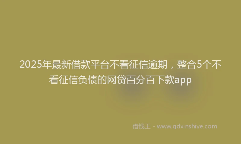 2025年最新借款平台不看征信逾期，整合5个不看征信负债的网贷百分百下款app