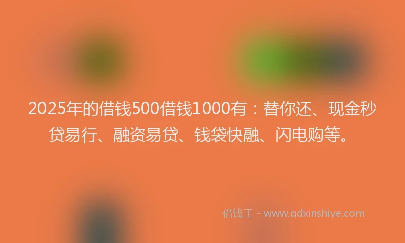2025年的借钱500借钱1000有：替你还、现金秒贷易行、融资易贷、钱袋快融、闪电购等。