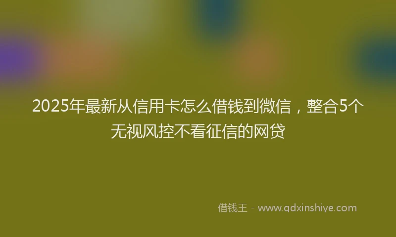 2025年最新从信用卡怎么借钱到微信，整合5个无视风控不看征信的网贷