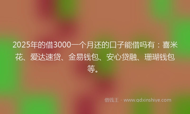 2025年的借3000一个月还的口子能借吗有：喜米花、爱达速贷、金易钱包、安心贷融、珊瑚钱包等。