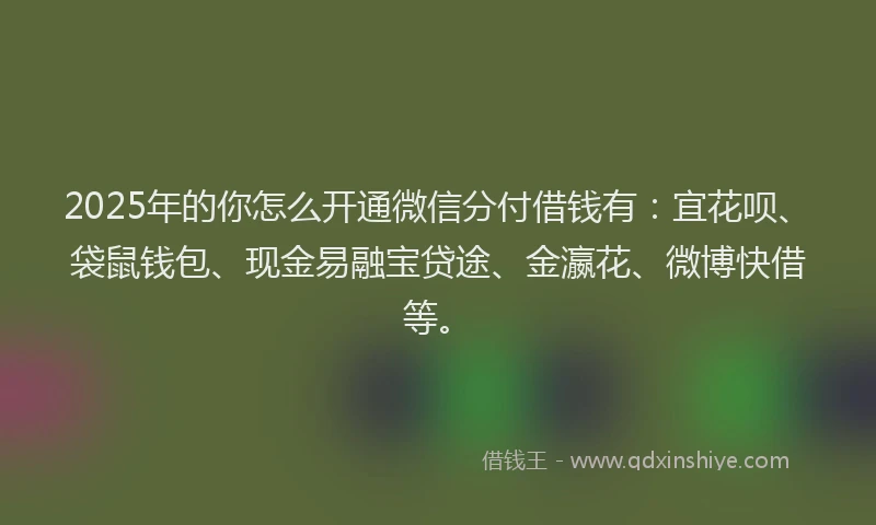 2025年的你怎么开通微信分付借钱有：宜花呗、袋鼠钱包、现金易融宝贷途、金瀛花、微博快借等。