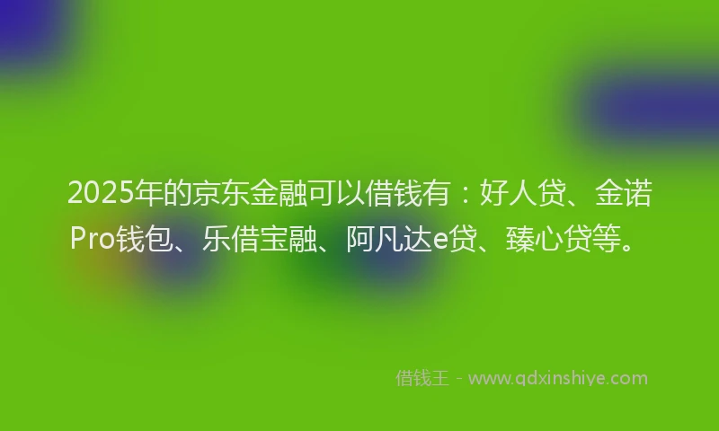 2025年的京东金融可以借钱有：好人贷、金诺Pro钱包、乐借宝融、阿凡达e贷、臻心贷等。