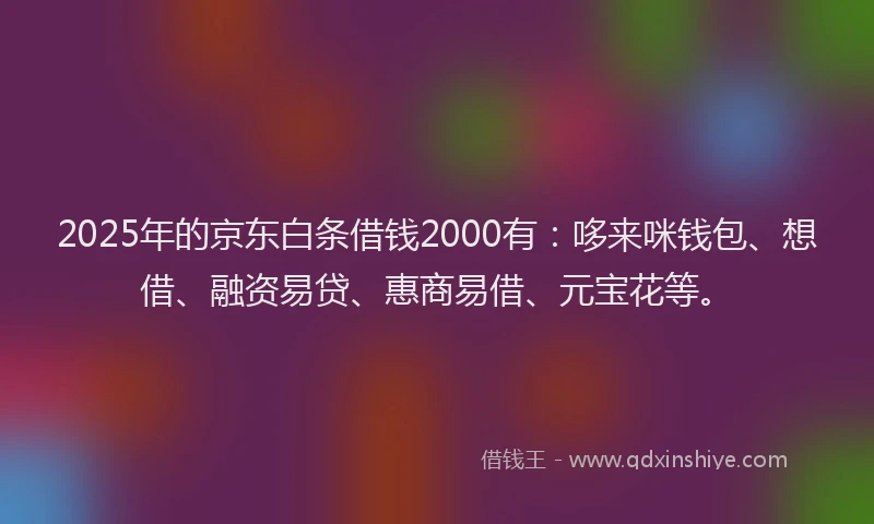 2025年的京东白条借钱2000有：哆来咪钱包、想借、融资易贷、惠商易借、元宝花等。