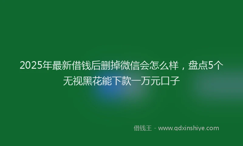 2025年最新借钱后删掉微信会怎么样，盘点5个无视黑花能下款一万元口子