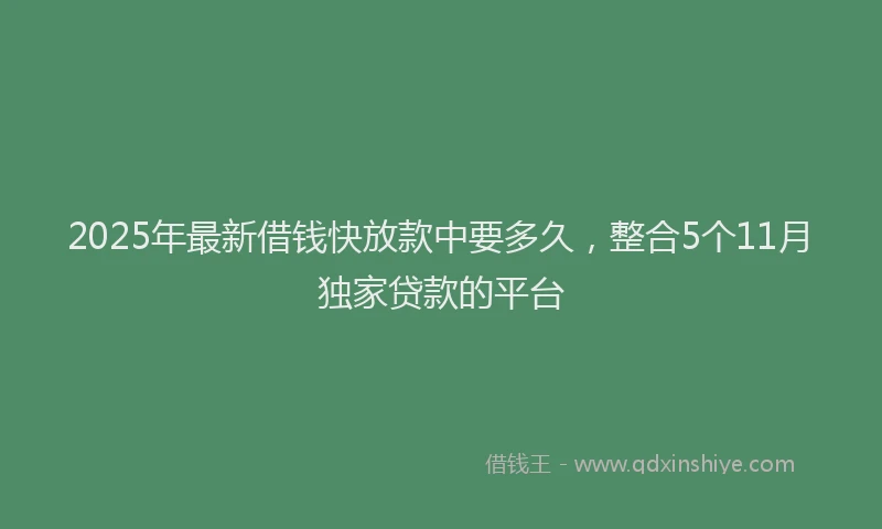 2025年最新借钱快放款中要多久，整合5个11月独家贷款的平台