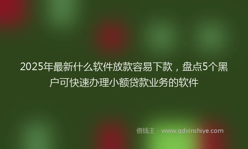 2025年最新什么软件放款容易下款，盘点5个黑户可快速办理小额贷款业务的软件