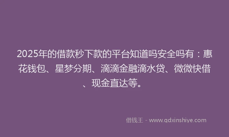 2025年的借款秒下款的平台知道吗安全吗有：惠花钱包、星梦分期、滴滴金融滴水贷、微微快借、现金直达等。